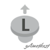 Symbol 31